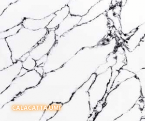 Calacatta Umi Quartz - A slab of engineered stone, Quartz, featuring a neutral, white  base with diagonally striated black veining - Polished Finish