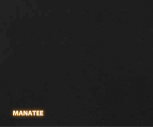 Manatee Quartz - A slab of engineered stone, Quartz, featuring a neutral base of black - Polished Finish